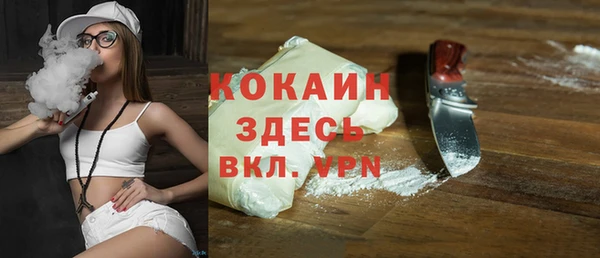 дурь Инсар