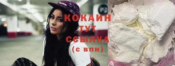 дурь Инсар