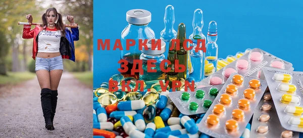 PSILOCYBIN Иннополис