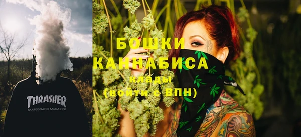 PSILOCYBIN Иннополис